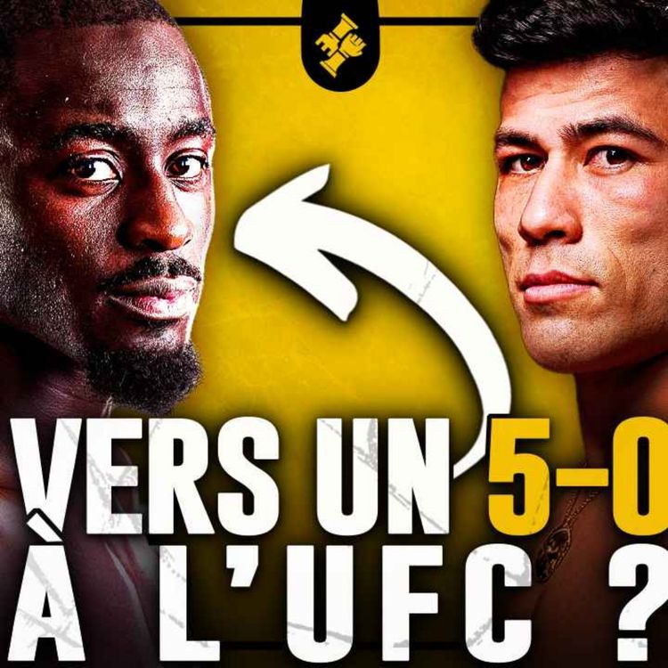 cover art for UFC | William GOMIS vs Hyder AMIL : L'Analyse