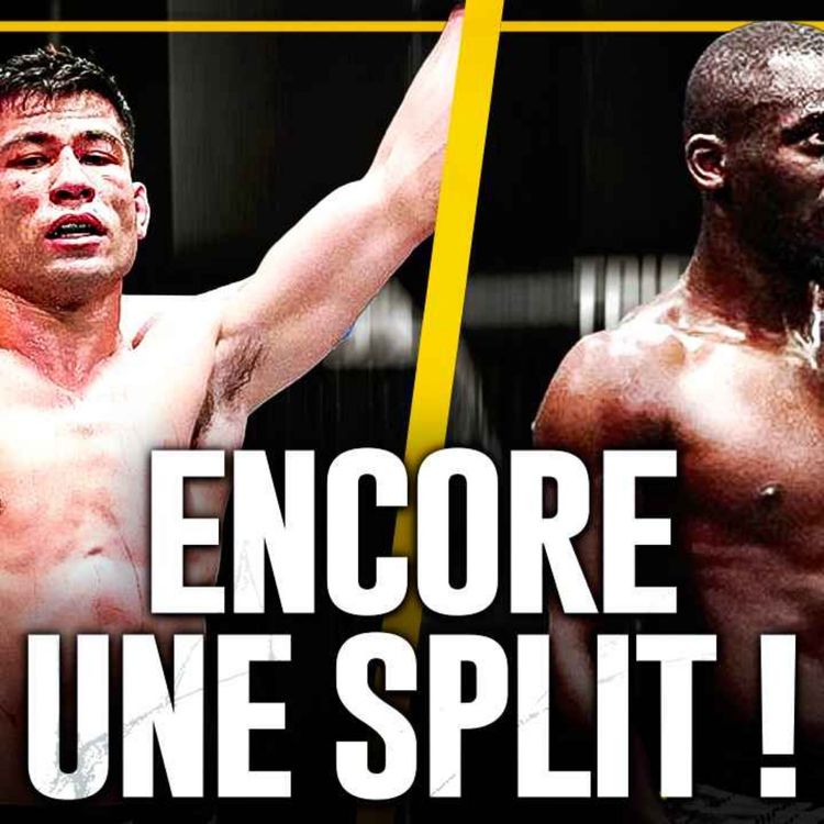 cover art for William Gomis: un Vol ? - On a LE Prochain Adversaire pour Ziam ? Récap' UFC