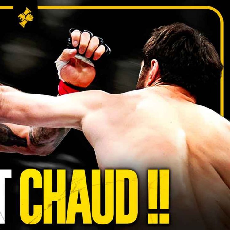 cover art for Magomed Ankalaev DÉTRÔNE Alex Pereira, Gaethje et Fiziev Livrent UN BANGER: Récap UFC 313