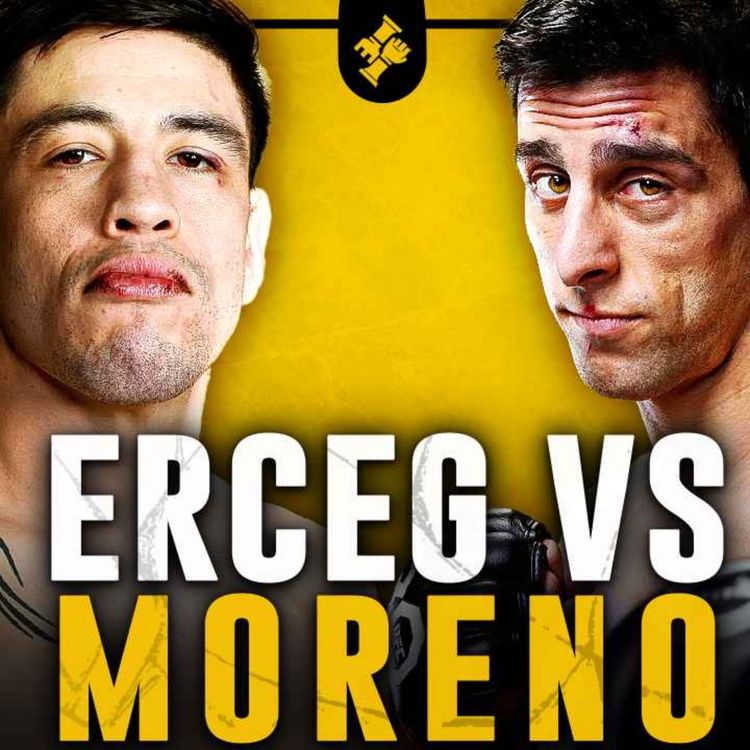 cover art for UFC | Steve ERCEG vs Brandon MORENO | Analyse & Preview