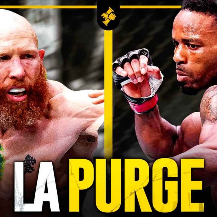 cover art for Lerone Murphy: le strict MINIMUM, Décision Finney vs Valentin - Récap’
