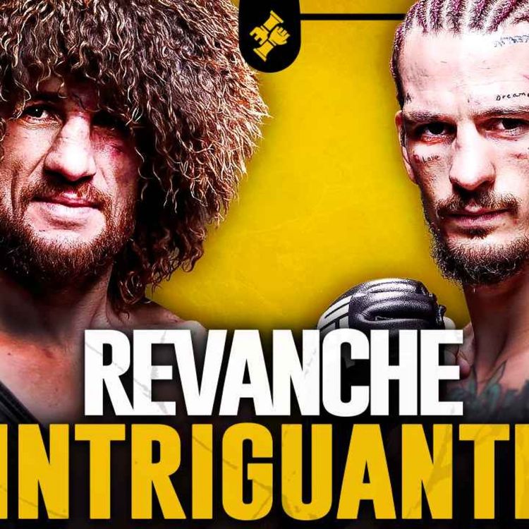 cover art for UFC | Merab Dvalishvili vs Sean O'malley 2 | Analyse & Preview