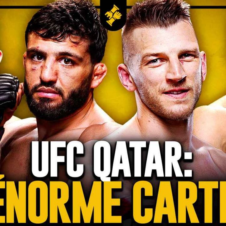 cover art for Arman Tsarukyan vs Dan Hooker - Analyse XXL