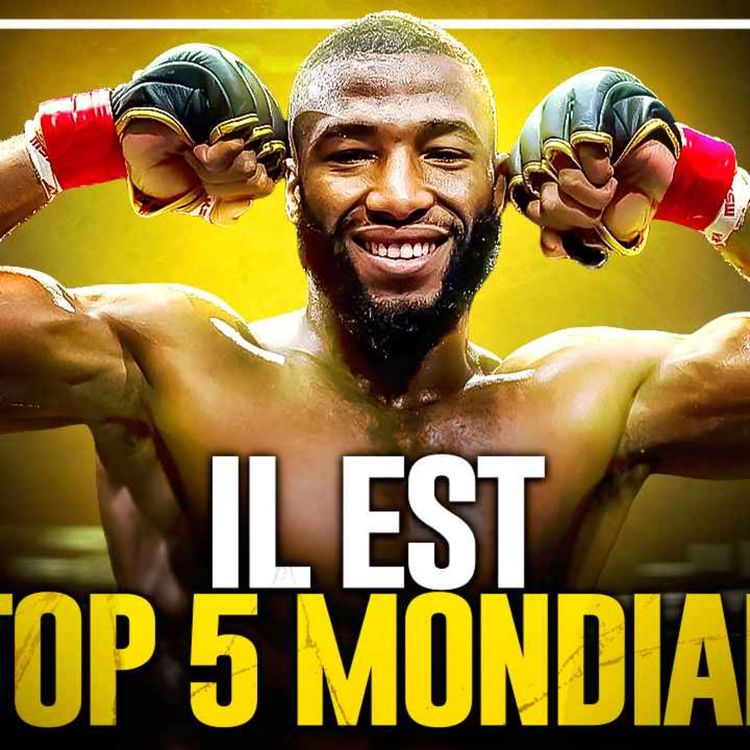 cover art for Salahdine Parnasse ROULE sur Held. Est-il top5 UFC ?
