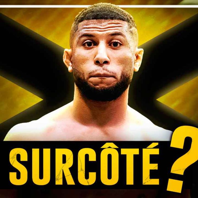 cover art for Aljamain Sterling DOMINE Youssef Zalal, Davy Grant RÉGALE | Récap' UFC