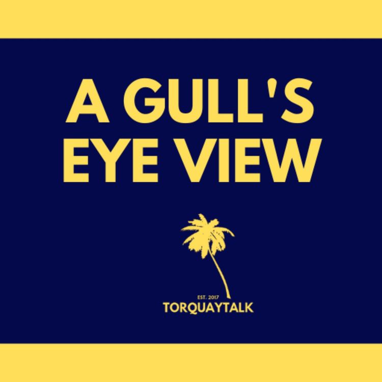 cover art for EASTBOURNE THRASHING & WORTHING VICTORY | A GULL'S EYE VIEW S5 E22