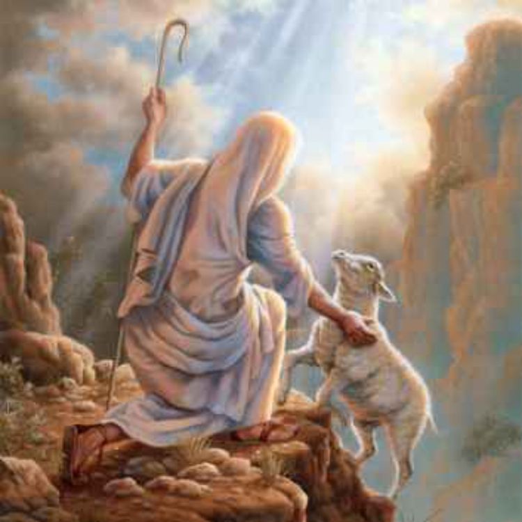 cover art for Rescatando a la Oveja Perdida