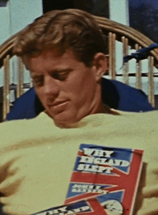 cover art for Découvrir le vieux continent avant la guerre