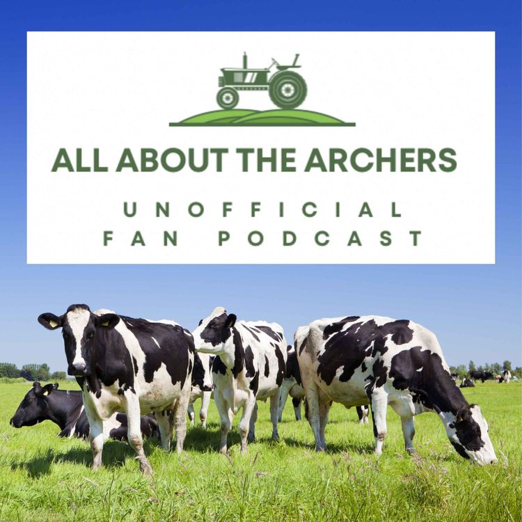 cover art for Fallon’s Finished in The Archers