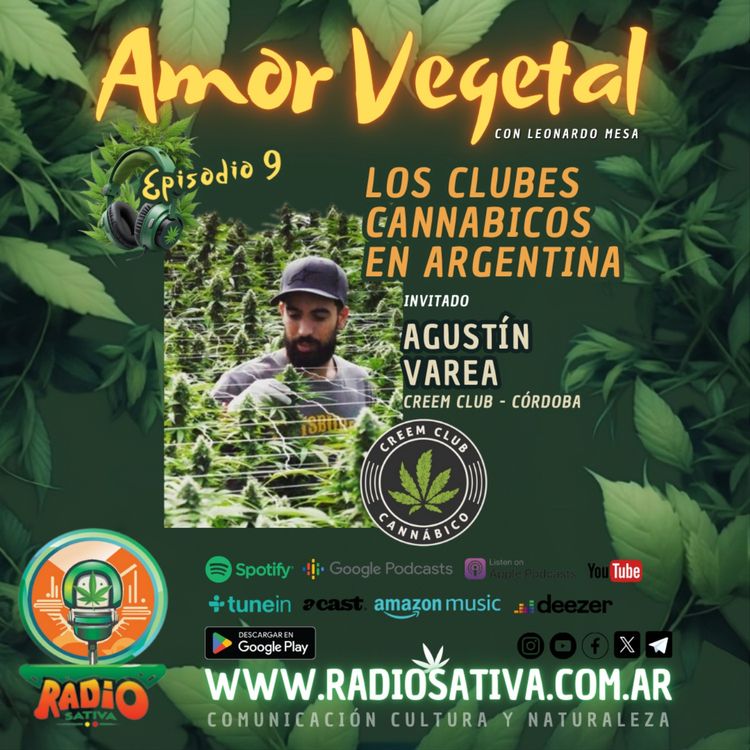 cover art for Llegaron los Clubes Cannabicos a Córdoba Capital