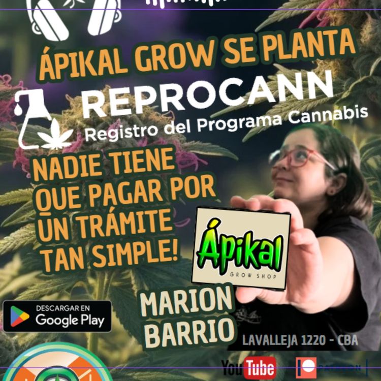 cover art for UN GROWSHOP DE CÓRDOBA CAPITAL TE INSCRIBE GRATIS AL REPROCANN