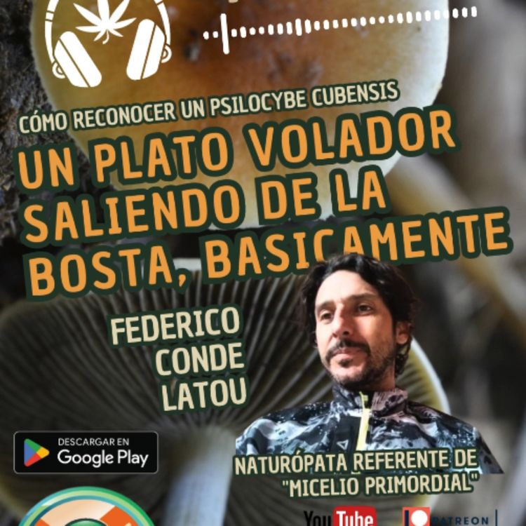 cover art for CÓMO RECONOCER UN HONGO ALUCINÓGENO