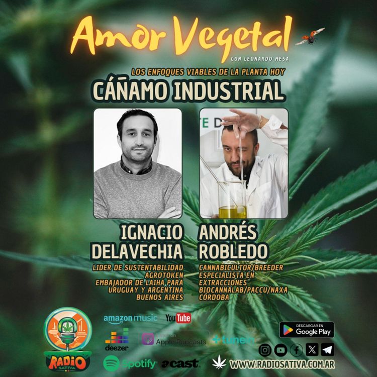 cover art for Amor Vegetal - Cáñamo Industrial: Los Enfoques Viables de la Planta Hoy