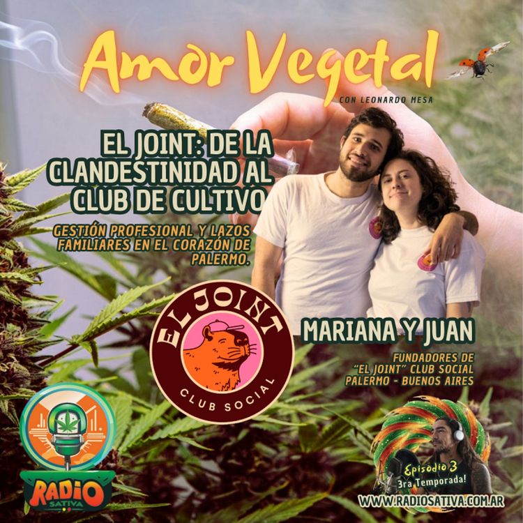 cover art for Amor Vegetal - De la Clandestinidad al Club de Cultivo