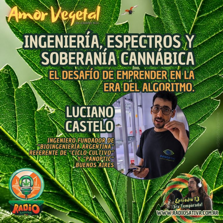 cover art for Ingeniería, Espectros y Soberanía Cannábica - Emprender en la Era del Algoritmo