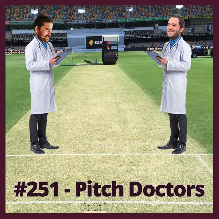 cover art for HSP #251 Pitch Doctors