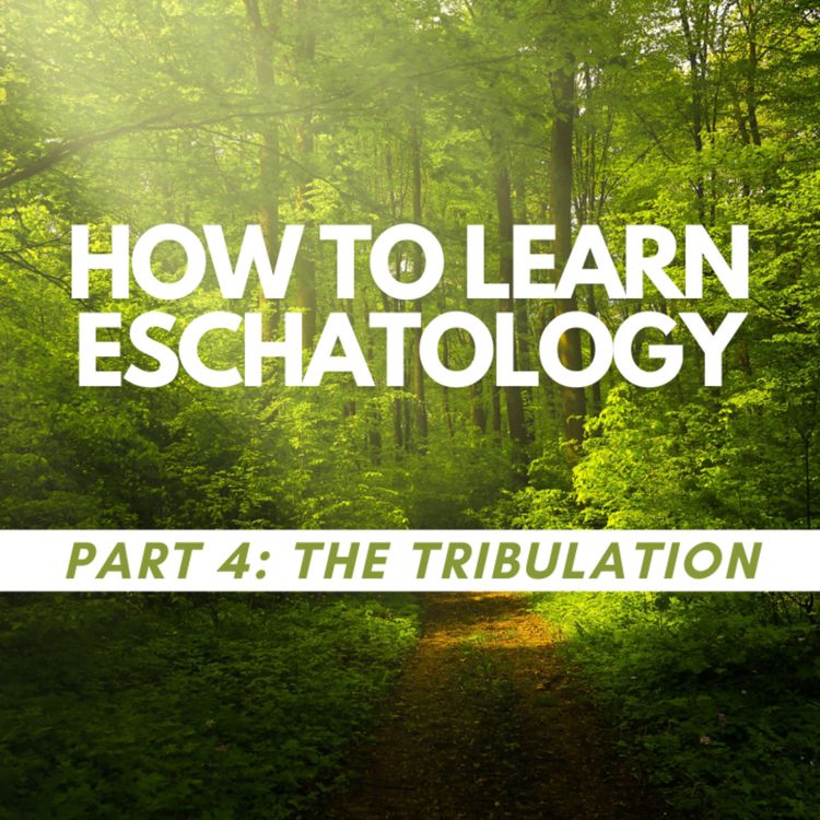 cover art for How to learn Eschatology part 4: The Tribulation