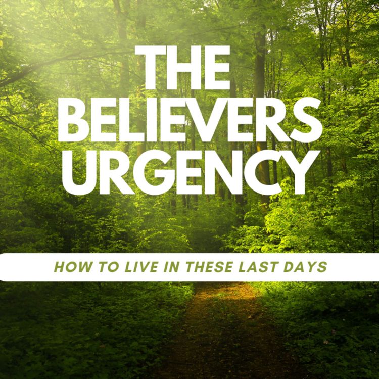 cover art for The Believers Urgency: how to live in these last days