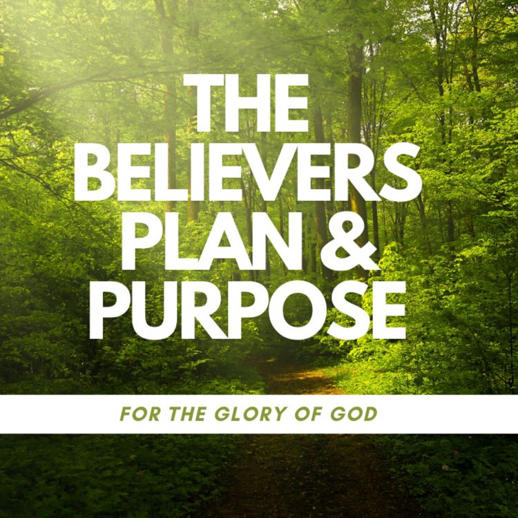 cover art for The Believers Plan & Purpose: For the Glory of God