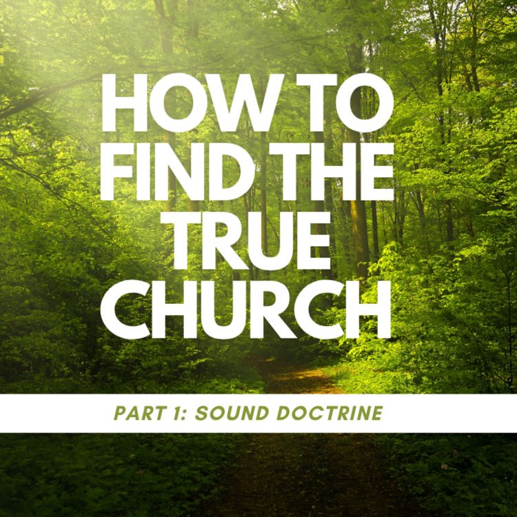 cover art for How to find the True Church: Part 1