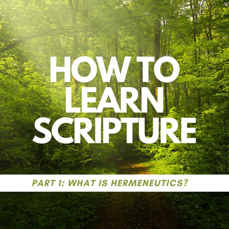 cover art for How to learn scripture part 1: what is hermeneutics?