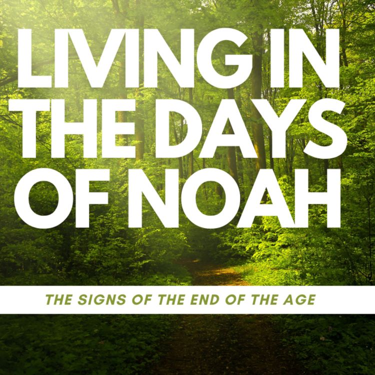 cover art for Living in the days of Noah: the signs of the end of the age