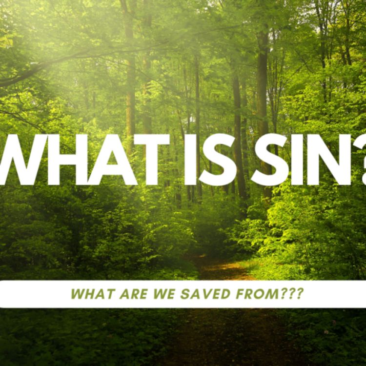cover art for What is sin? What are we saved from???