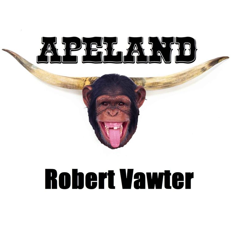 cover art for Robert Vawter