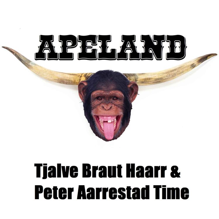 cover art for Tjalve Braut Haarr & Peter Aarrestad Time