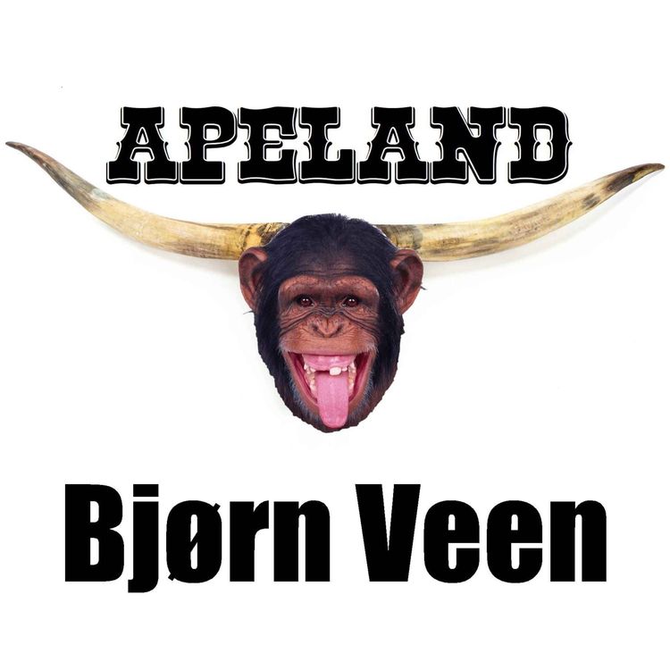 cover art for Bjørn Veen
