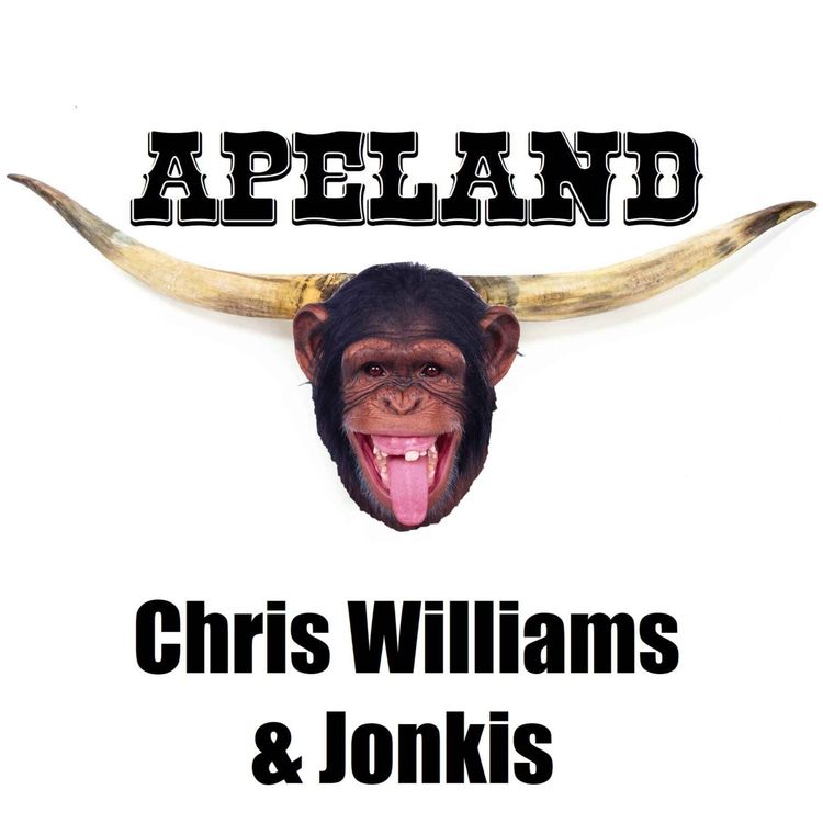 cover art for Chris Williams & Jonkis
