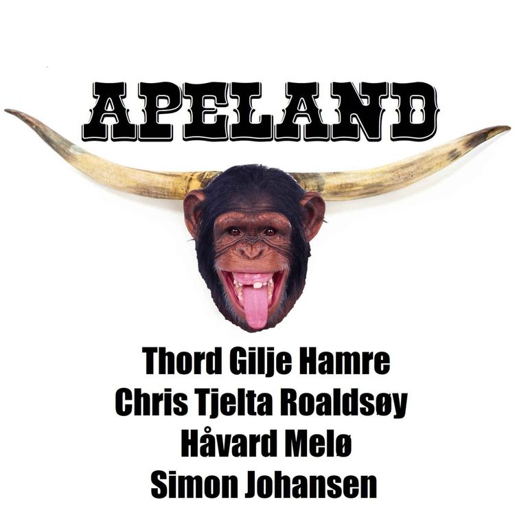 cover art for Thord Gilje Hamre, Chris Tjelta Roaldsøy, Håvard Melø & Simon Johansen