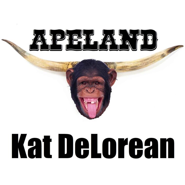 cover art for Kat DeLorean