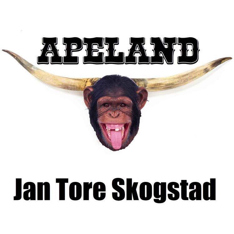 cover art for Jan Tore Skogstad