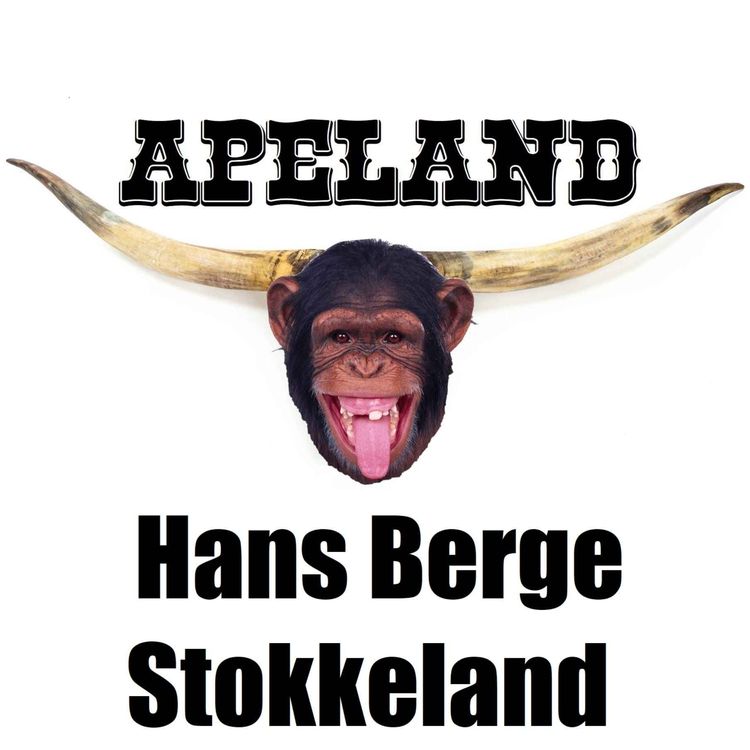 cover art for Hans Berge Stokkeland
