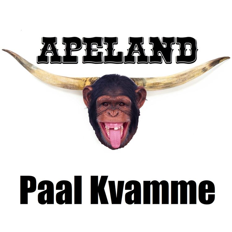 cover art for Paal Kvamme