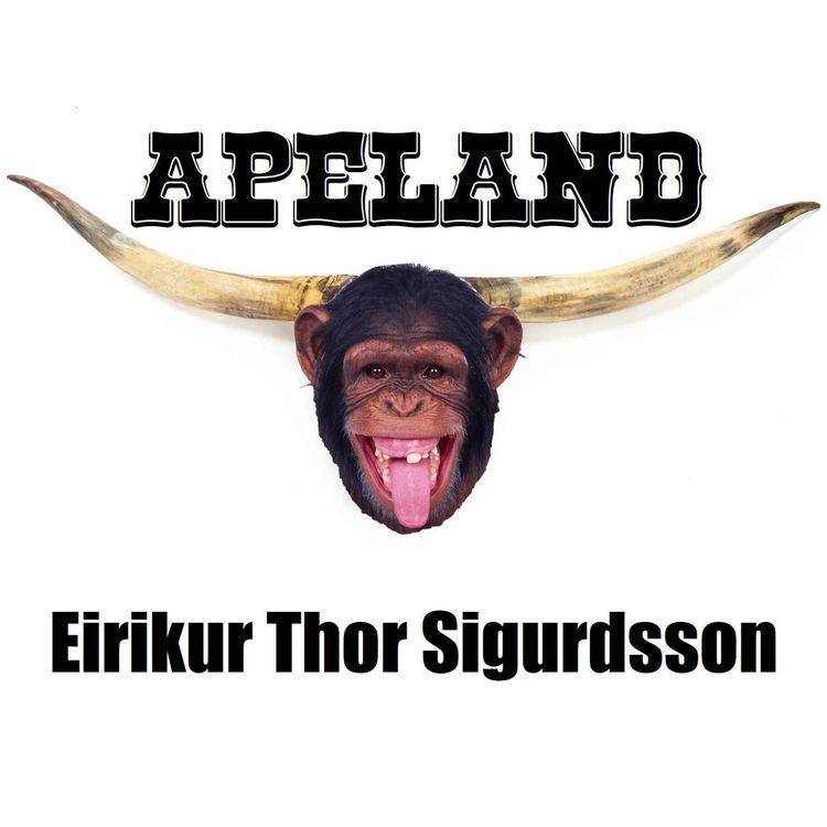 cover art for Eirikur Thor Sigurdsson