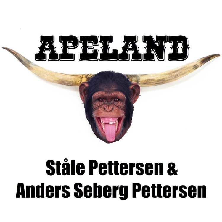 cover art for Ståle Pettersen & Anders Seberg Pettersen