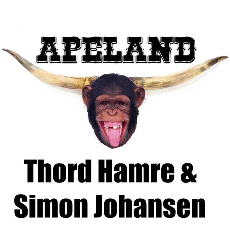 cover art for Thord Hamre & Simon Johansen