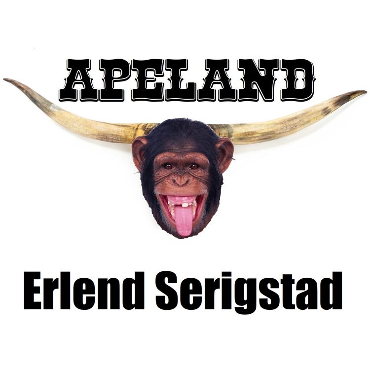 cover art for Erlend Serigstad