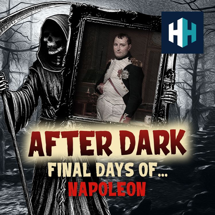 cover art for Final Days of Napoleon