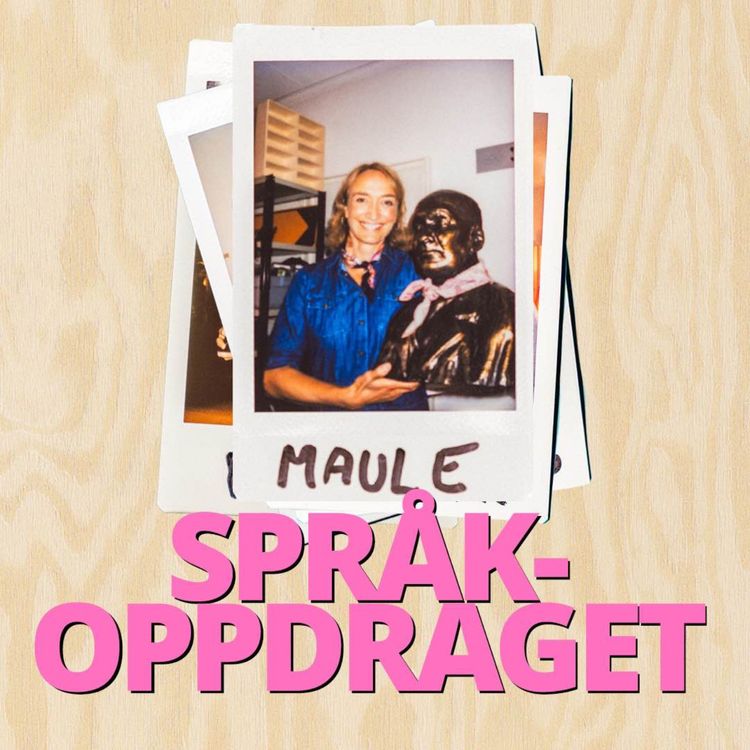 cover art for Ingerid Stenvold om dialekt, Dagsrevyen og språkstrid