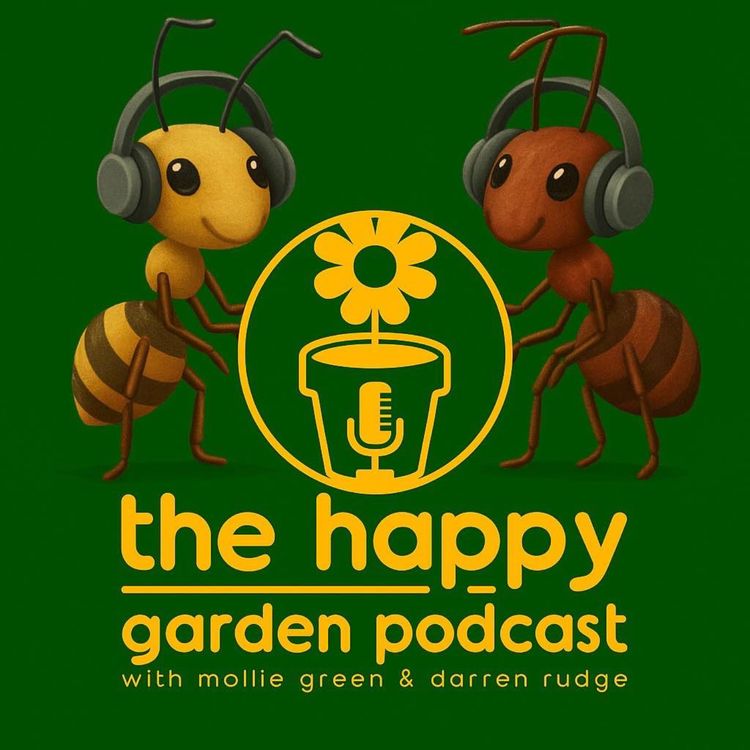 cover art for Talking trees with Paul Wood and celebrating flying ants!