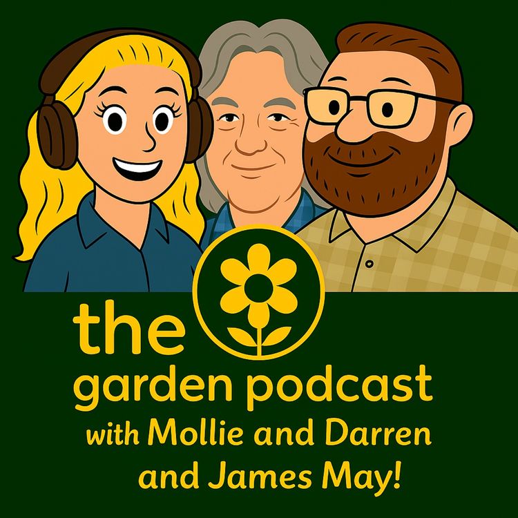 cover art for James May and his shed