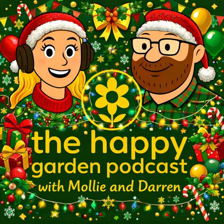 cover art for A festive hour with Mollie and Darren