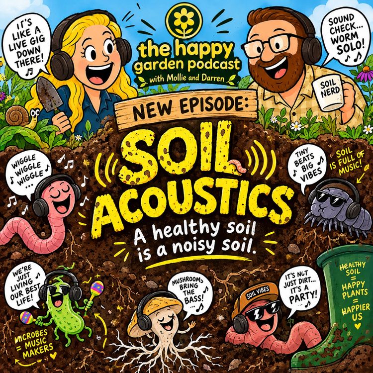 cover art for Soil accoustics
