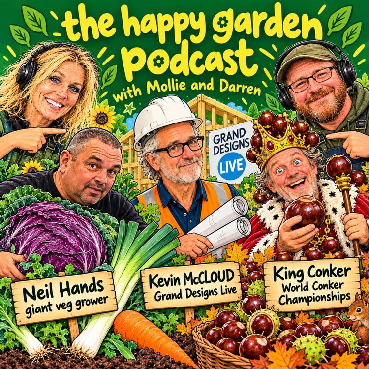 cover art for Kevin McCloud, Neil Hands and King Conker...