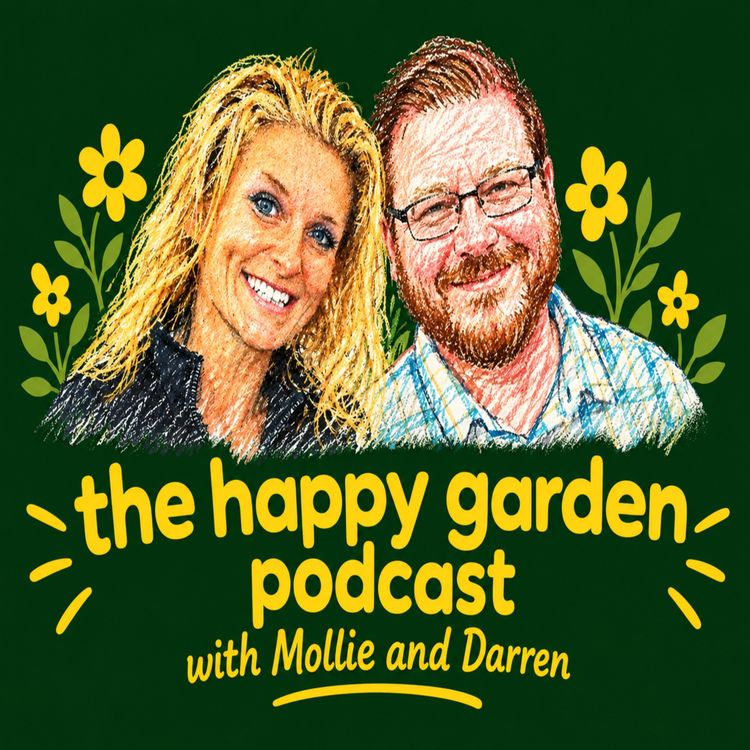 cover art for Using your courgettes!