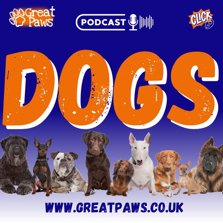 cover art for DOGS - Trailer