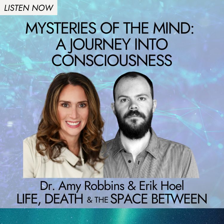 cover art for Mysteries of the Mind: A Journey into Consciousness with Erik Hoel